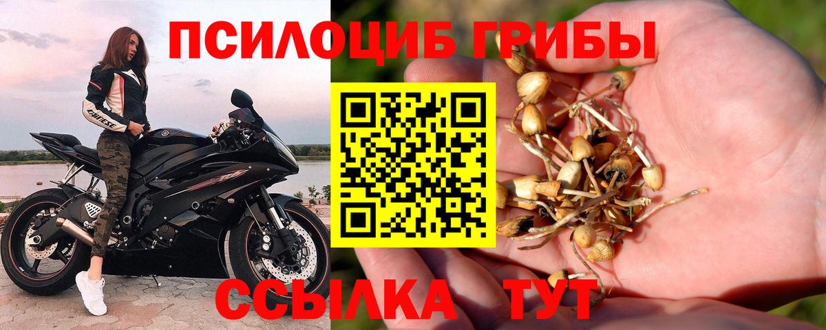 Псилоцибиновые грибы MAGIC MUSHROOMS  Вход с VPN  Борисоглебск  Псилоцибиновые грибы Magic Shrooms 